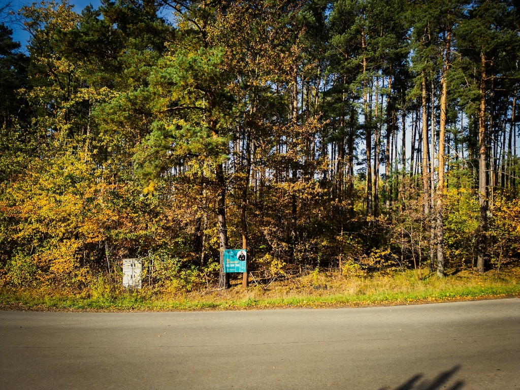 Piękne, leśne działki z MPZP - woda, prąd, asfalt!