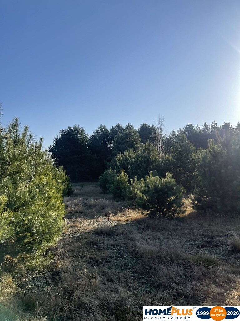 Twój dom w pobliżu rzeki i Jeziora Zegrzyńskiego.