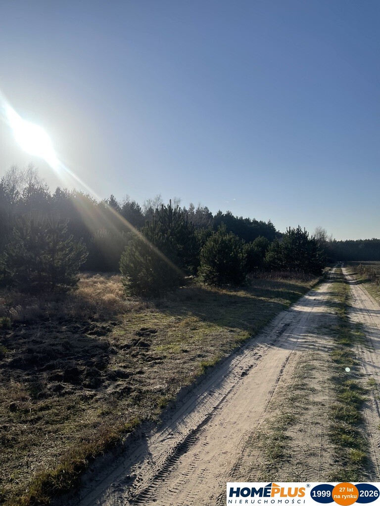 Idealne miejsce na dom,6241 m² blisko lasu i rzeki