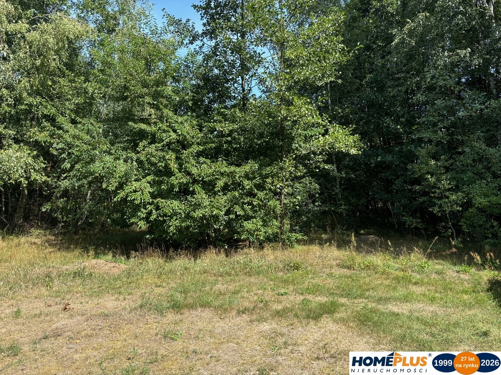 Duża, cicha działka w otulinie lasu - BEZ PROWIZJI