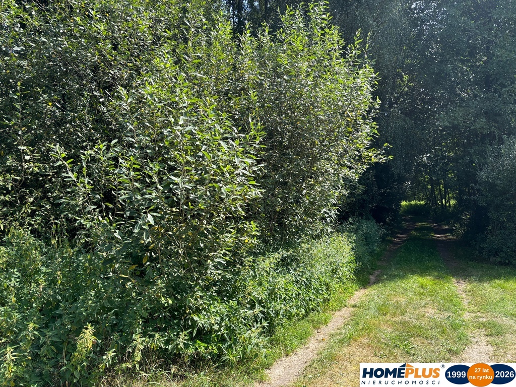 Duża, cicha działka w otulinie lasu - BEZ PROWIZJI