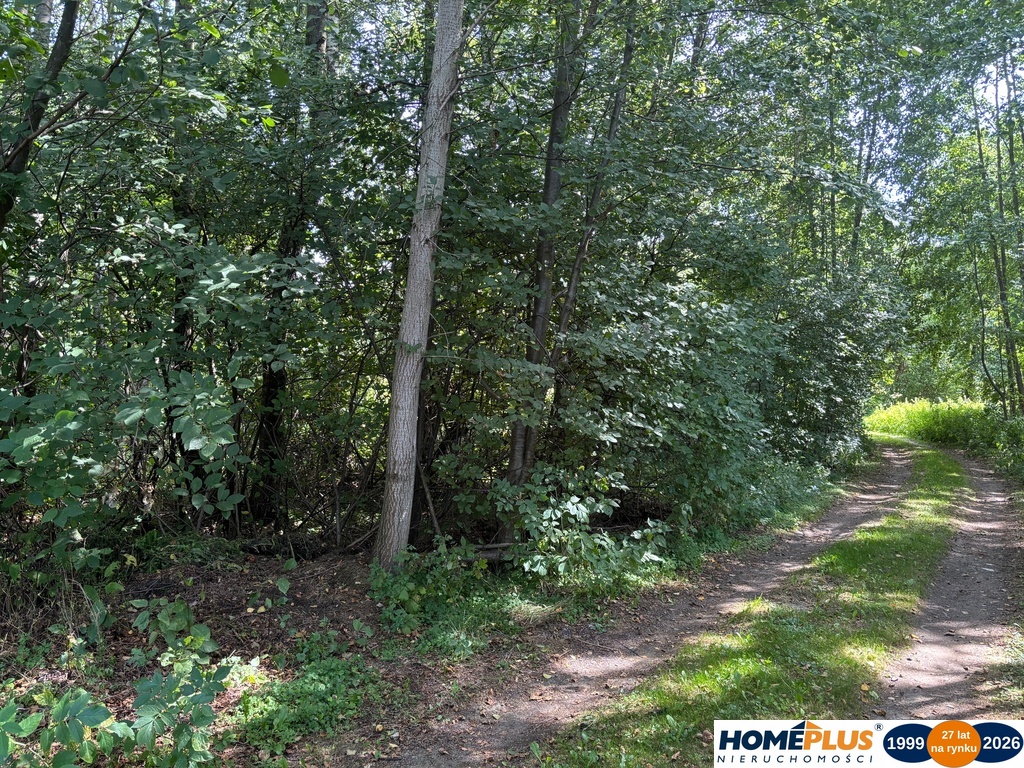 Duża, cicha działka w otulinie lasu - BEZ PROWIZJI
