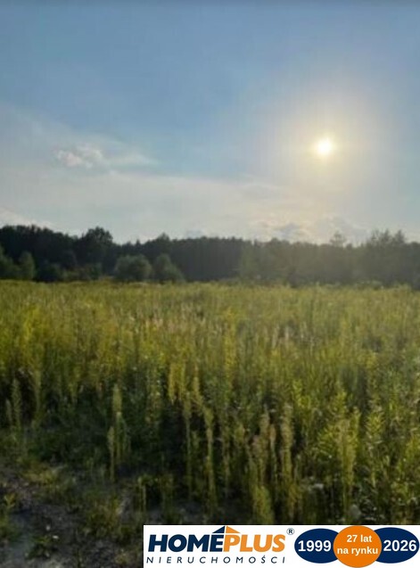 Działka budowlana blisko lasu, idealna inwestycja.