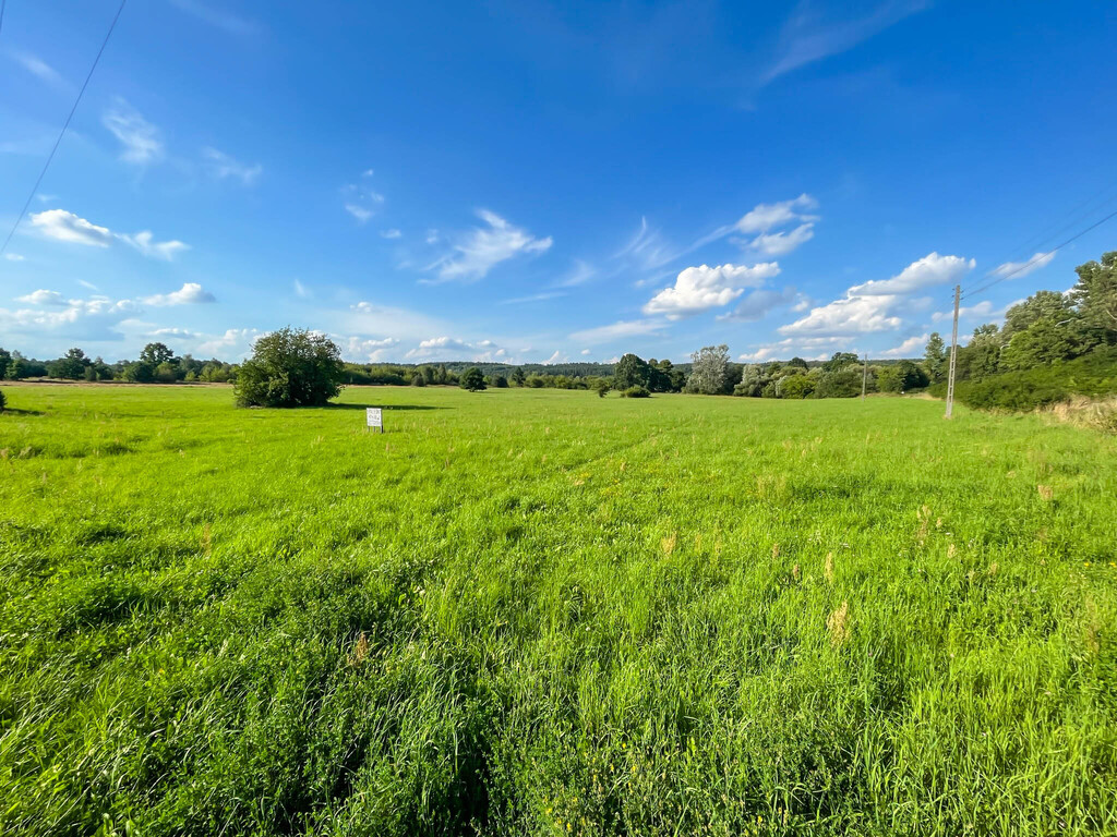 Działka budowalna z WZ - 1,05ha - Michałów