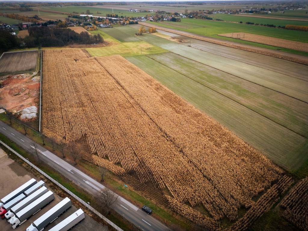 2,43 ha inwestycyjne z MPZP, 2 km do A1, gm. Rzgów