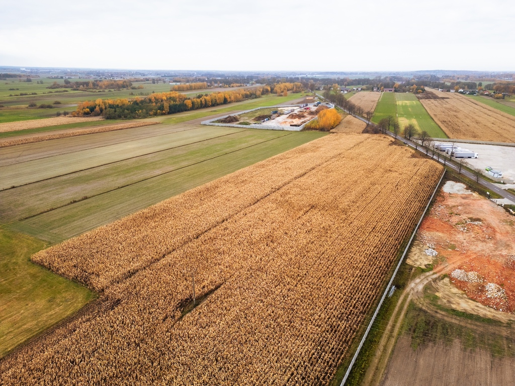 2,43 ha inwestycyjne z MPZP, 2 km do A1, gm. Rzgów