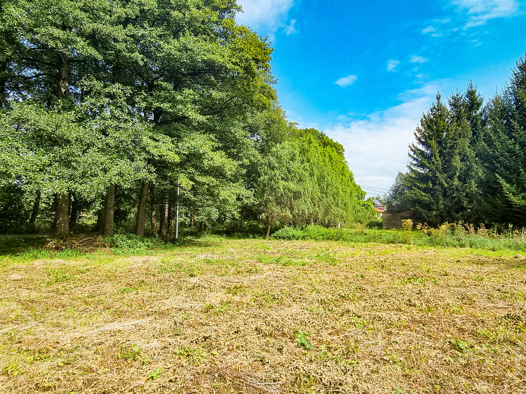 Zaciszna działka w Starym Wielisławiu