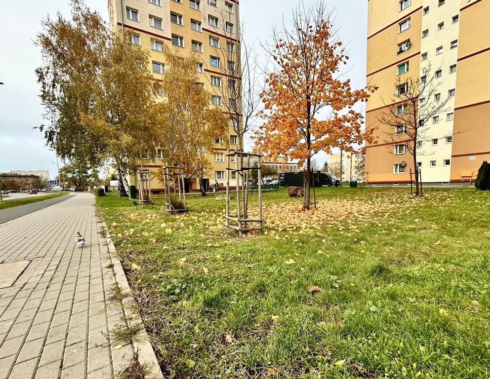 Małe mieszkanie w niemałym standardzie