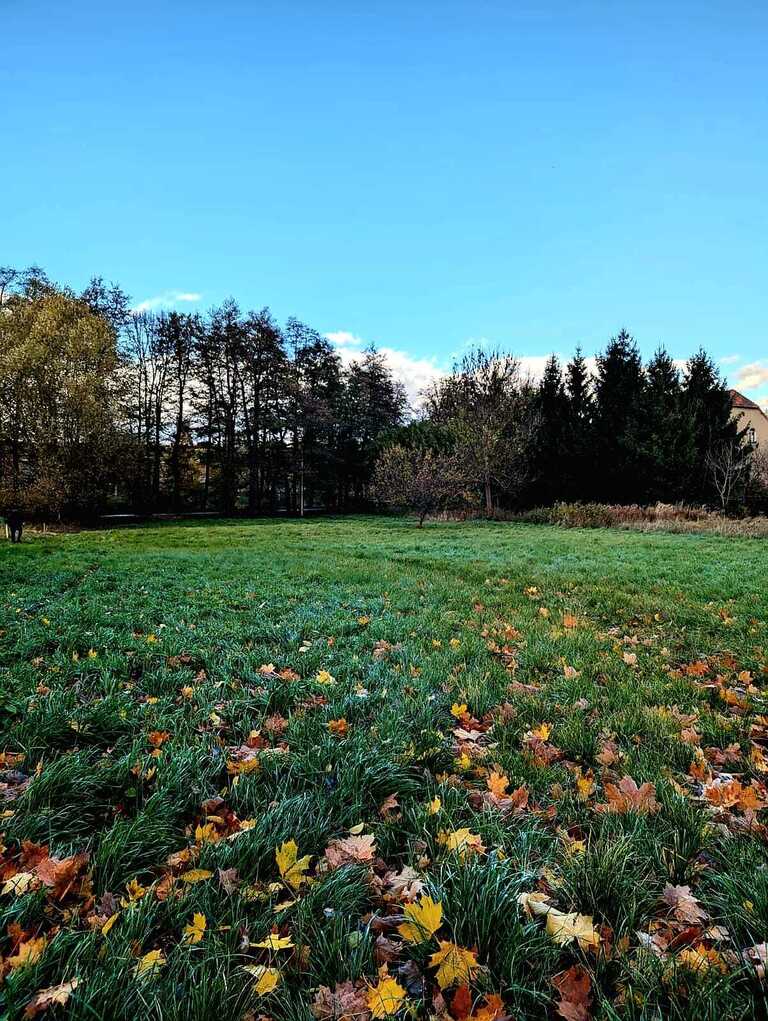 Zaciszna działka w Starym Wielisławiu