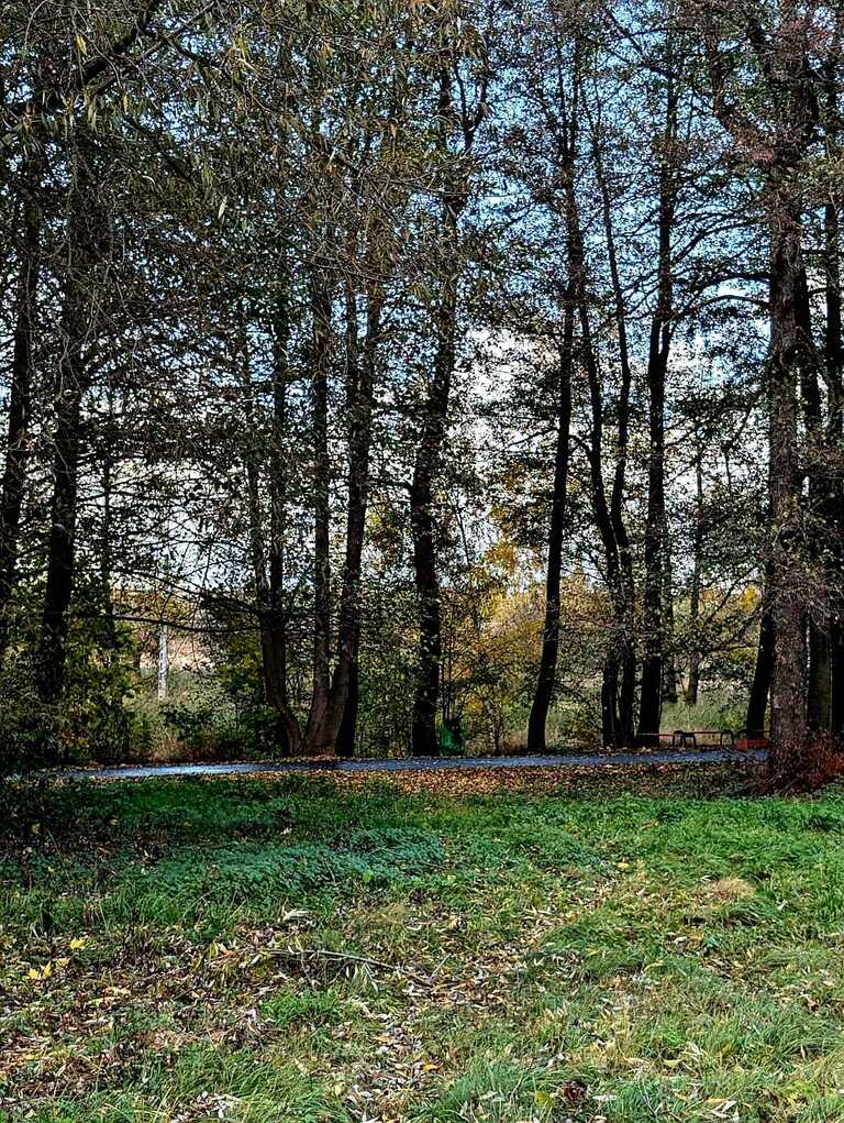 Zaciszna działka w Starym Wielisławiu