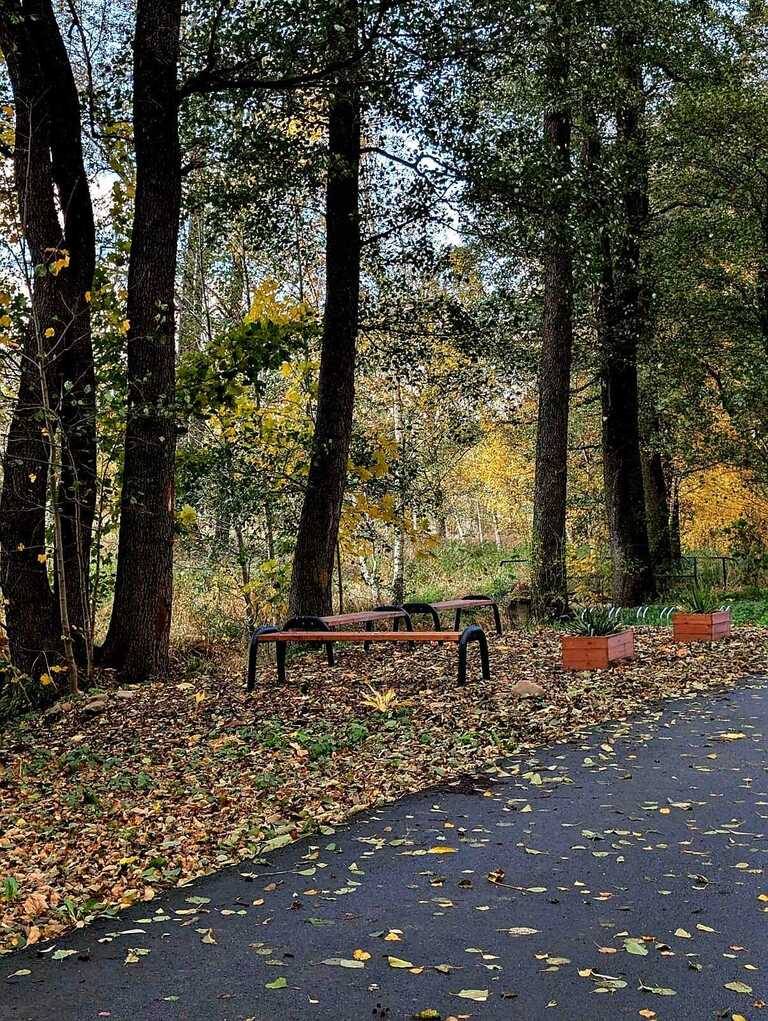 Zaciszna działka w Starym Wielisławiu