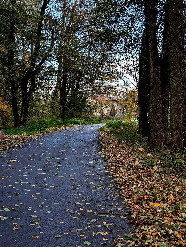 Zaciszna działka w Starym Wielisławiu