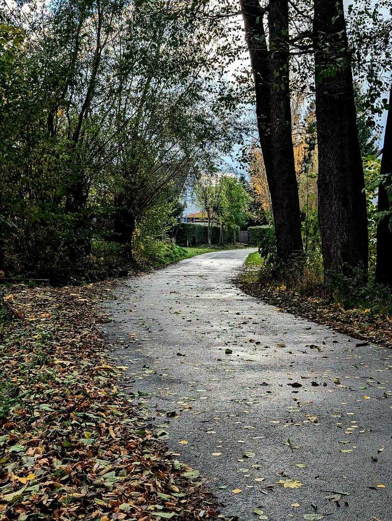 Zaciszna działka w Starym Wielisławiu