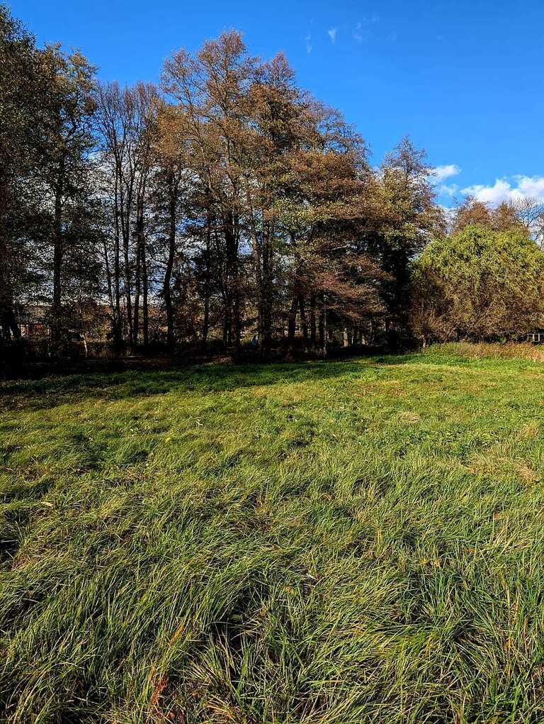 Zaciszna działka w Starym Wielisławiu