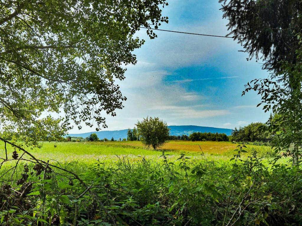 Działka  w super lokalizacji - Stary Wielisław