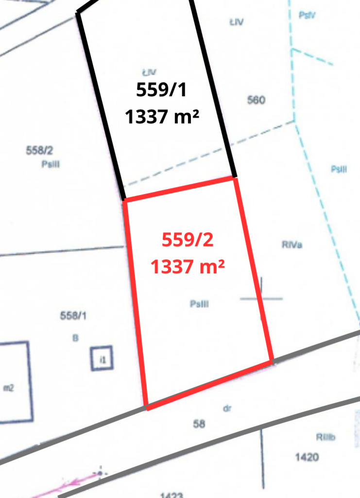 Działka  w super lokalizacji - Stary Wielisław