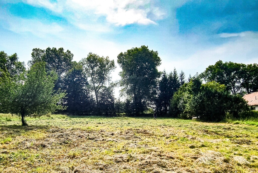 Działka  w super lokalizacji - Stary Wielisław