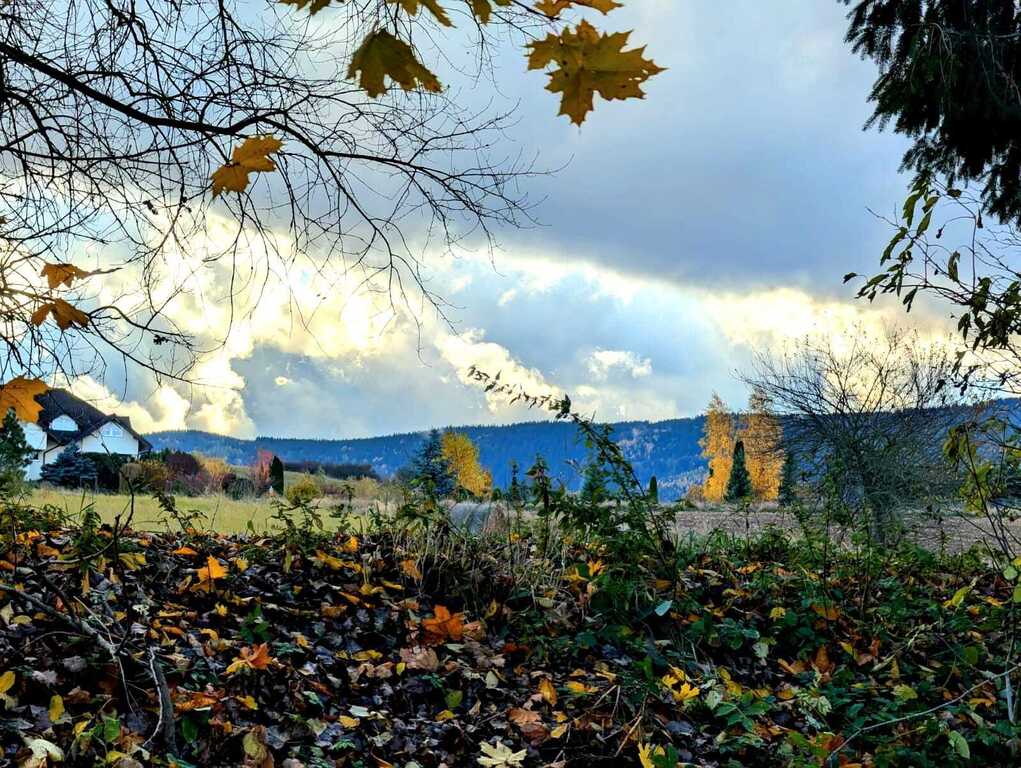 Działka  w super lokalizacji - Stary Wielisław