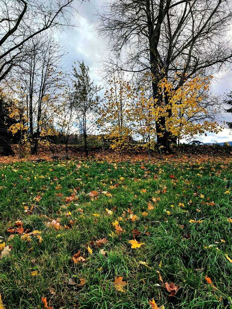 Działka  w super lokalizacji - Stary Wielisław