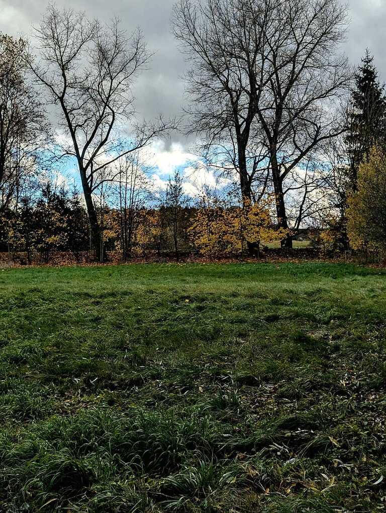 Działka  w super lokalizacji - Stary Wielisław