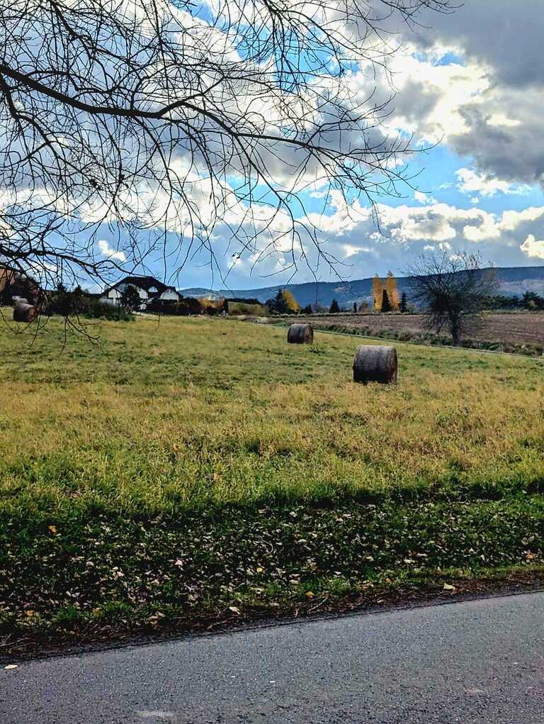 Działka  w super lokalizacji - Stary Wielisław