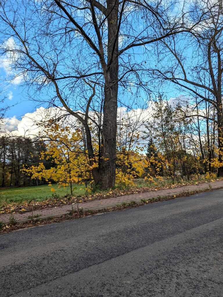 Działka  w super lokalizacji - Stary Wielisław