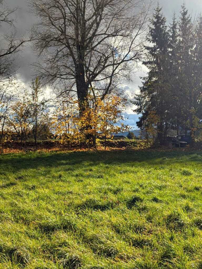 Działka  w super lokalizacji - Stary Wielisław