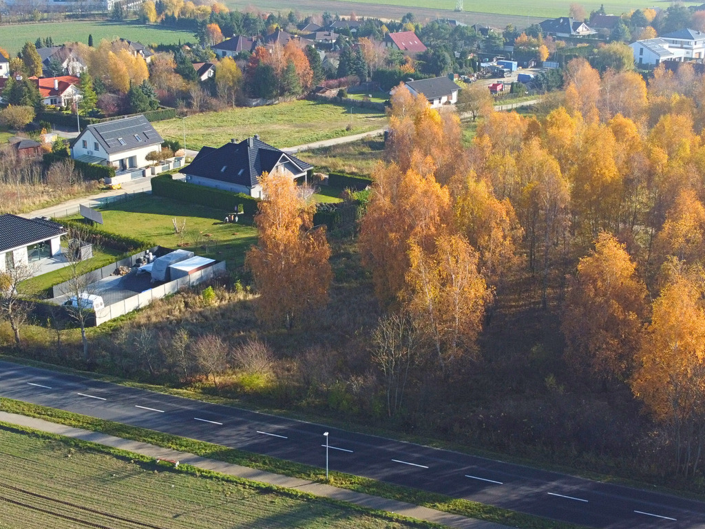 Sady pod Poznaniem | Działka z brzozami | 1544 m2