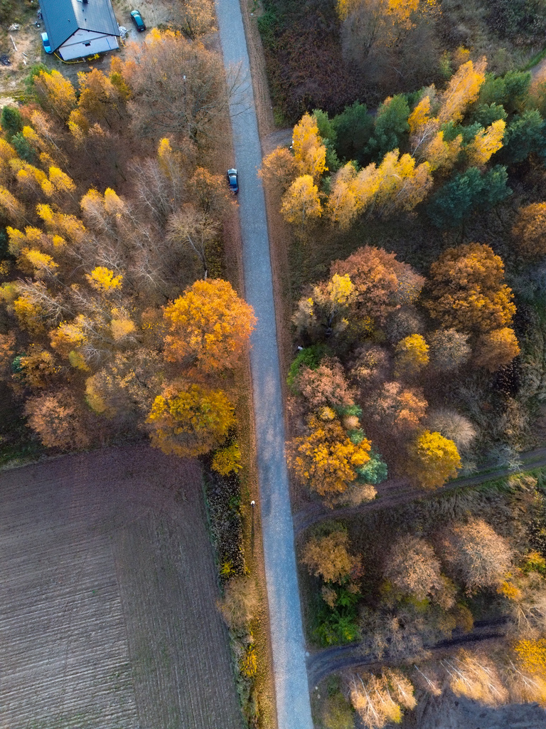 Działka w Łuczynie – Idealna pod inwestycje!