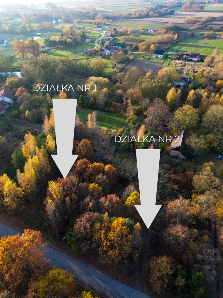 Działka w Łuczynie – Idealna pod inwestycje!