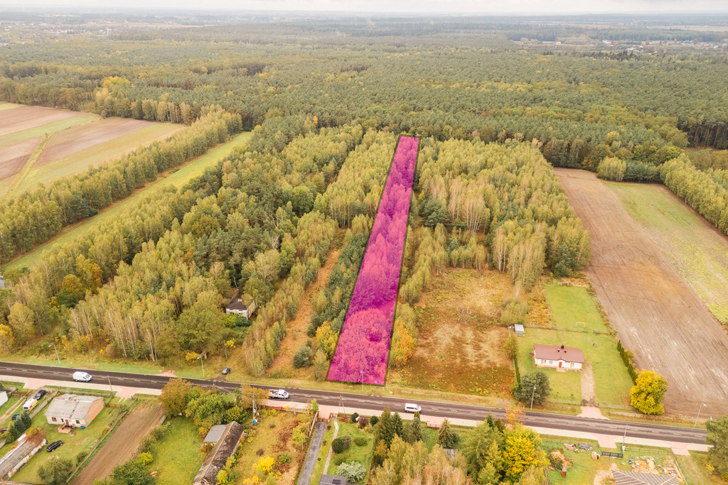 Własny las, cisza i zapach żywicy -siedlisko.