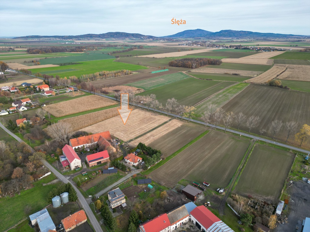 Nowizna – 1,6 ha, cena niższa o 318 tys. zł.