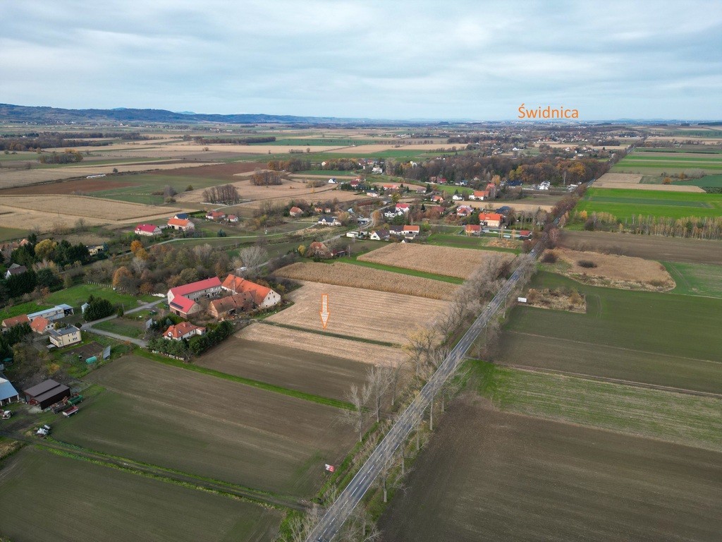 Nowizna – 1,6 ha, cena niższa o 318 tys. zł.