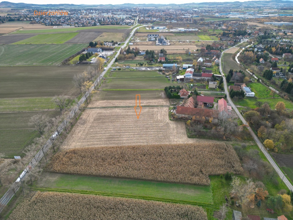 Nowizna – 1,6 ha, cena niższa o 318 tys. zł.