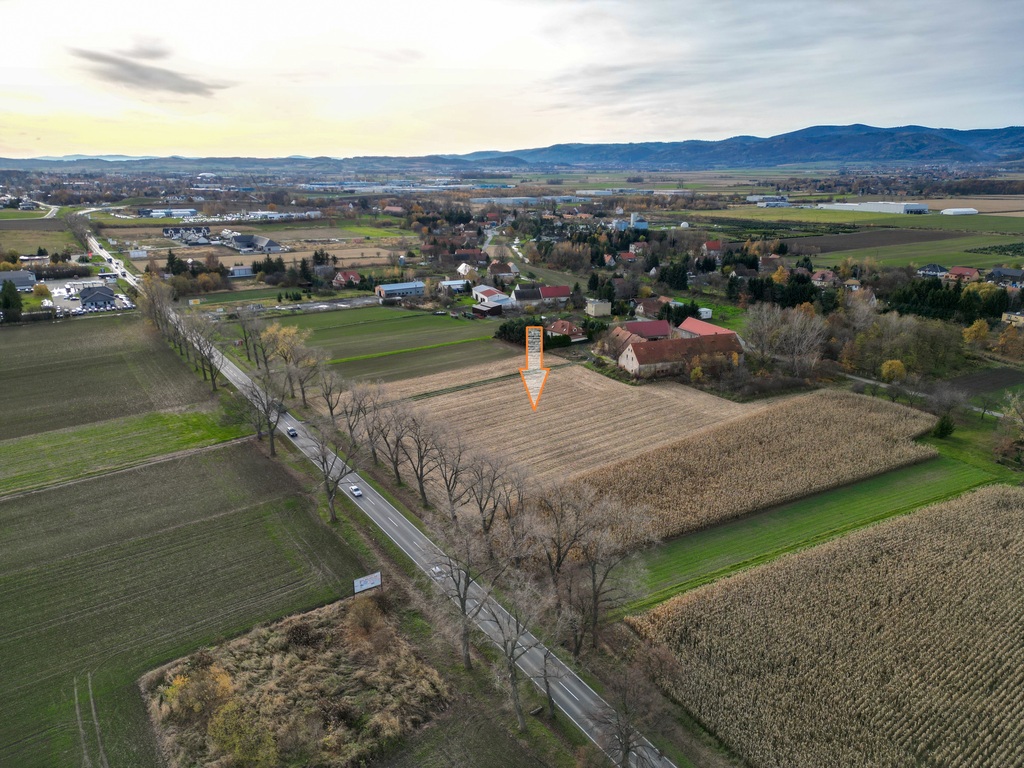 Nowizna – 1,6 ha, cena niższa o 318 tys. zł.