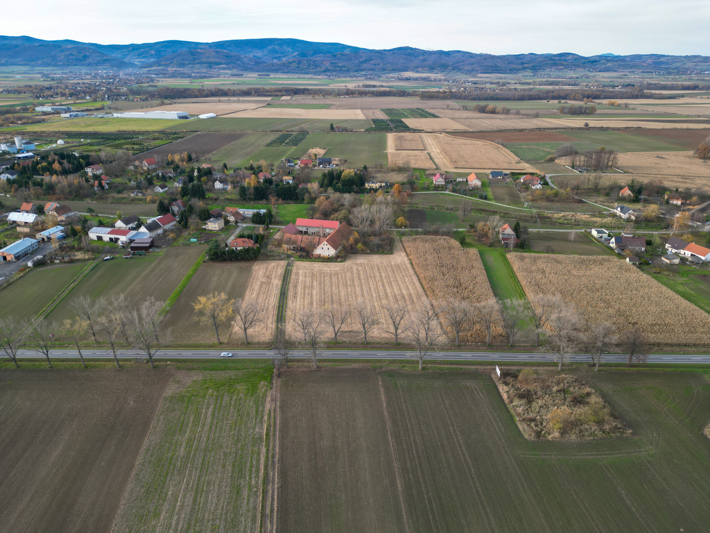 Nowizna – 1,6 ha, cena niższa o 318 tys. zł.