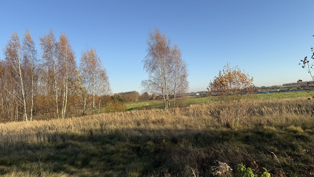 Działka inwestycyjna na sprzedaż – Dąbrówka Wielka