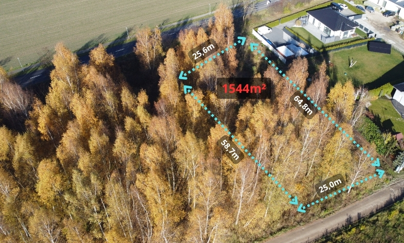 Sady pod Poznaniem | Działka z brzozami | 1544 m2