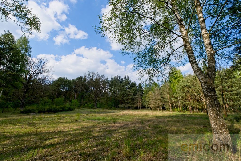 Strzeniówka | Działka budowlana
