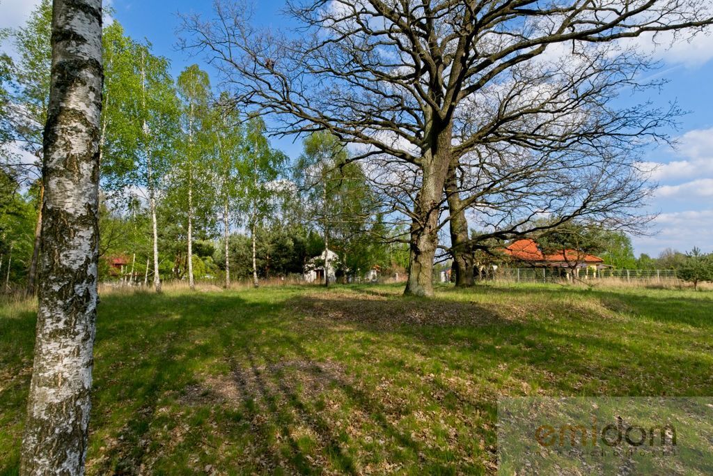Strzeniówka | Działka budowlana