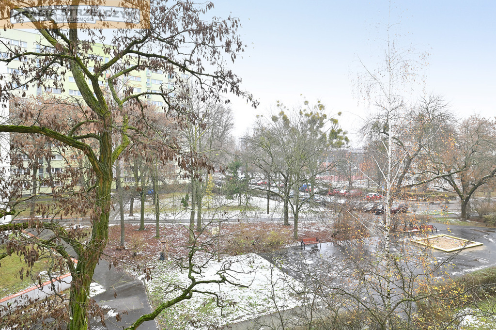 4 pokojowe mieszkanie na Bielanach (Słodowiec)