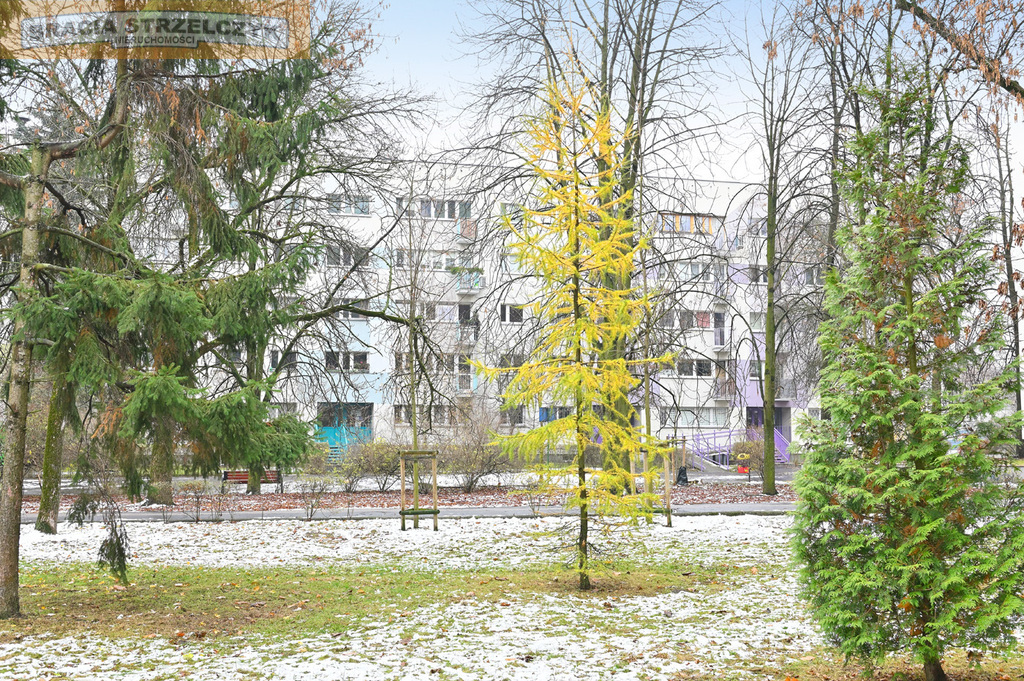 4 pokojowe mieszkanie na Bielanach (Słodowiec)