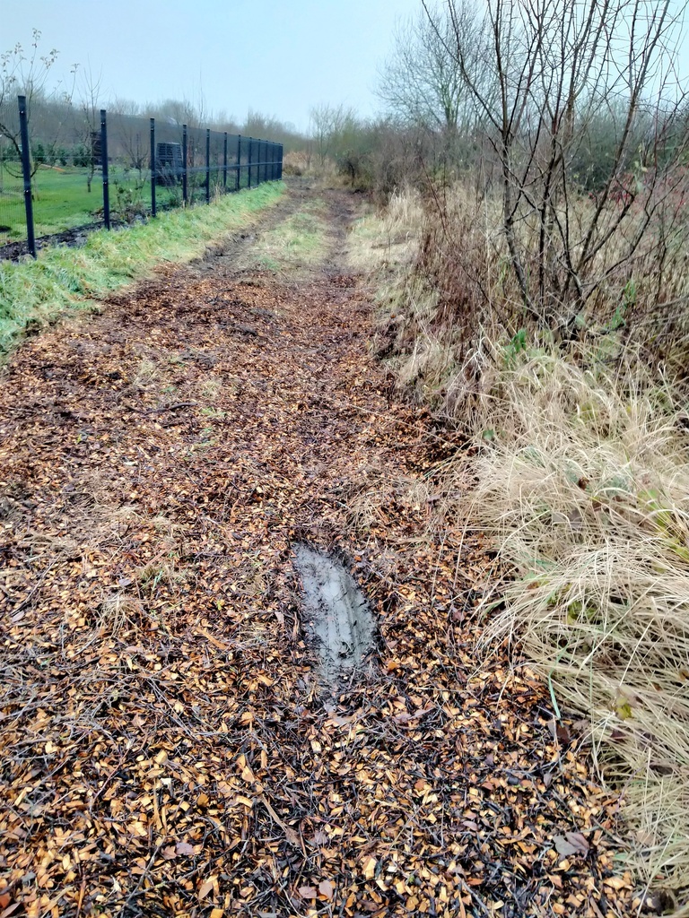 Działka 1567m2,Wołczkowo,budowlana,Decyzja  w.z.,