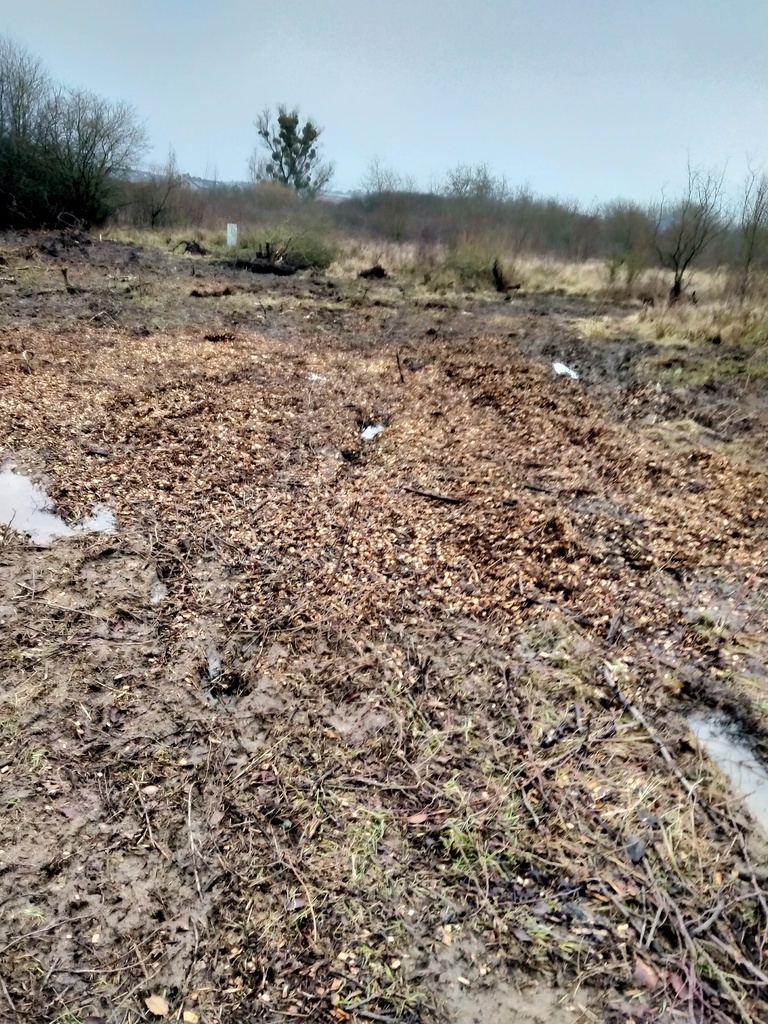 Działka 1567m2,Wołczkowo,budowlana,Decyzja  w.z.,