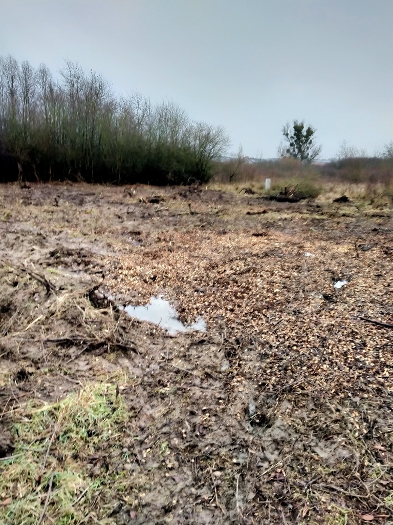 Działka 1567m2,Wołczkowo,budowlana,Decyzja  w.z.,