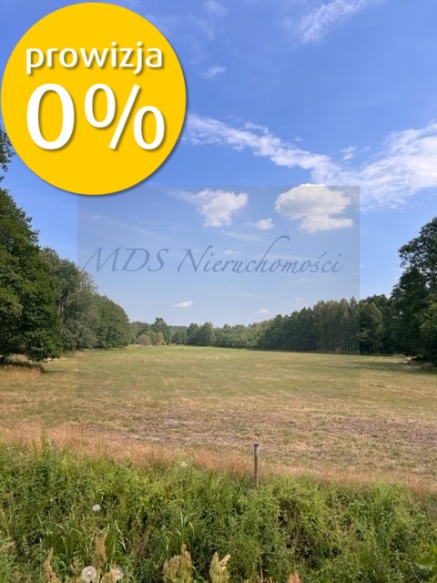 działka z WZ Węgrów Szamoty