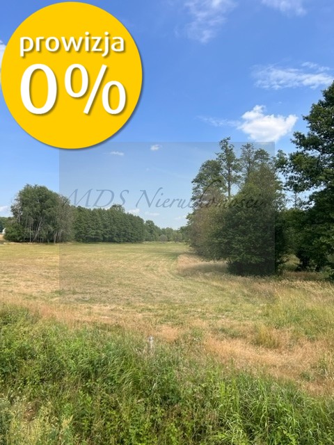 działka z WZ Węgrów Szamoty