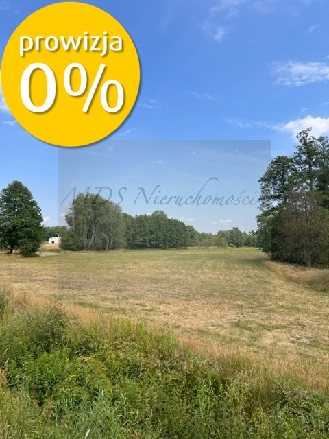 działka z WZ Węgrów Szamoty