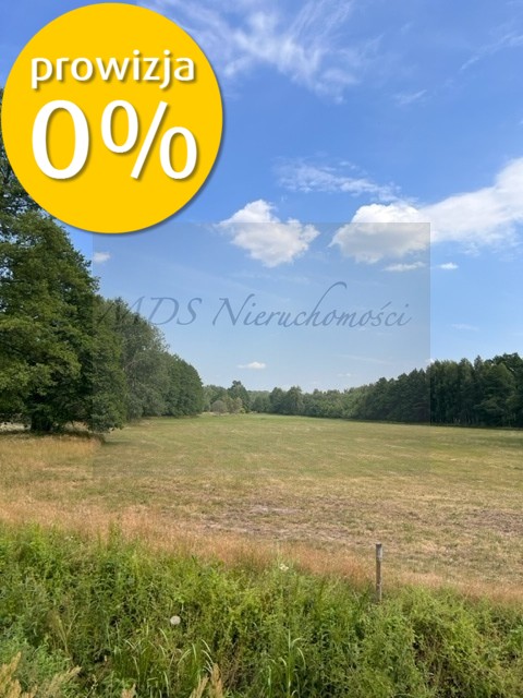 działka z WZ Węgrów Szamoty