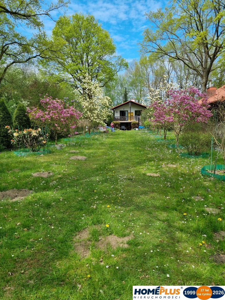 Klimatyczny domek przy Bugu na końcu świata